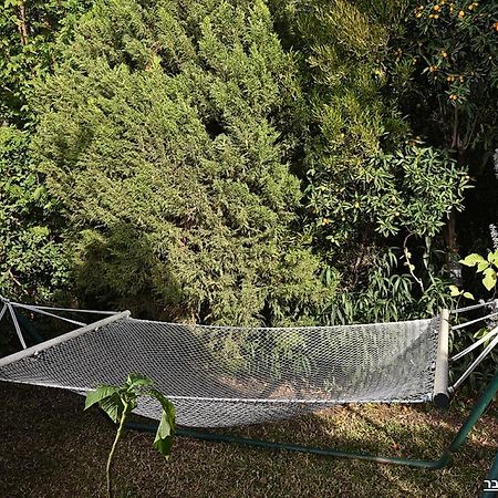 Maya Cabin Ramot Ngoại thất bức ảnh