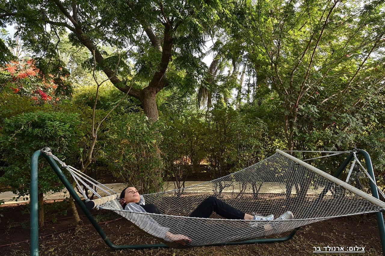 Maya Cabin Ramot Ngoại thất bức ảnh